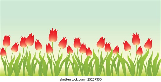 Floral background with tulips