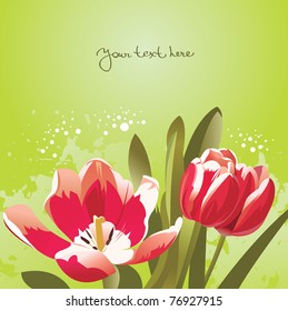 Floral background with tulips