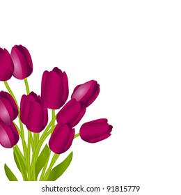 Floral background with tulips