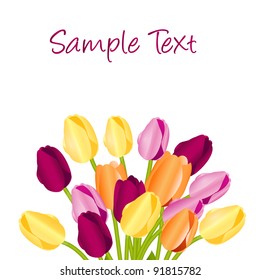 Floral background with tulips