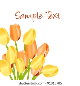 Floral background with tulips