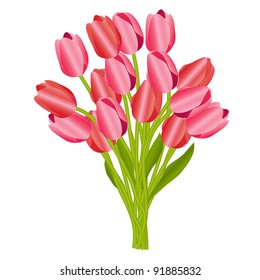 Floral background with tulips