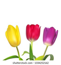 Floral background with Tulips Vector Illustration EPS10