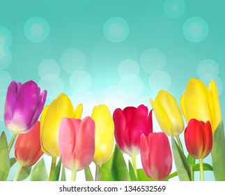 Floral background with Tulips Vector Illustration EPS10