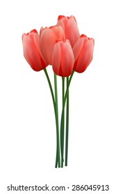 Floral background with Tulips Vector Illustration EPS10