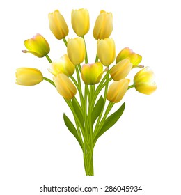 Floral background with Tulips Vector Illustration EPS10