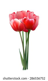 Floral background with Tulips Vector Illustration EPS10