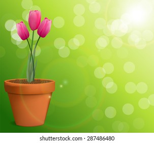 Floral background with Tulips Vector Illustration EPS10
