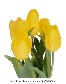 Floral background with Tulips Vector Illustration EPS10