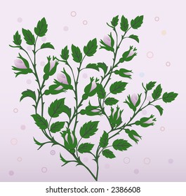 Floral background - vector