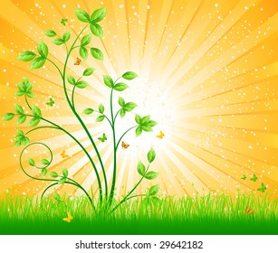 Floral background vector