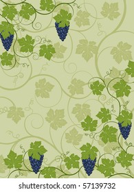 Floral background with a vine. Vector illustration.