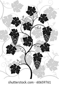 Floral background with a vine. Vector illustration.