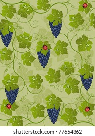 Floral background with vine. Vector illustration.