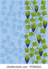 Floral background with a vine. Vector illustration.