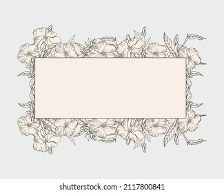 Floral background with vintage phlox. Design elements. White flowers.