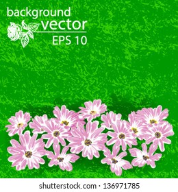 floral background violet daisy on green grass vector