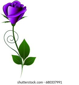 Floral background with violet rose.