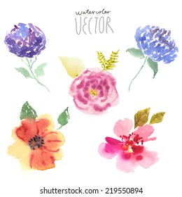 Floral background, watercolor painting vector