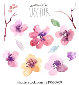 Floral background, watercolor painting vector