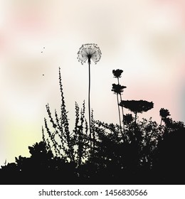 Floral background. Weeds, Grass and Dandelions. Beauty in nature. Illustration vector