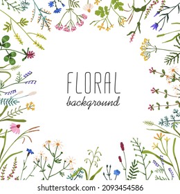 Fondo floral con marco de círculo de flores silvestres. Diseño de tarjetas cuadradas botánicas con plantas de campo y pradera. Hierbas de primavera y verano, plantilla de postales de flores. Ilustración vectorial plana de color