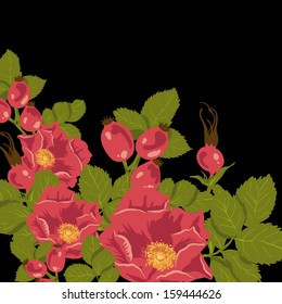 Floral background with wild rose, brier