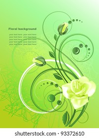 Floral background  with yellow rose in bright tones