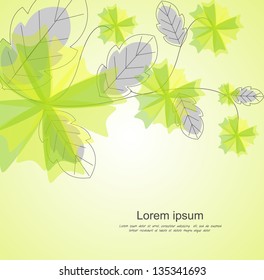 floral background/card