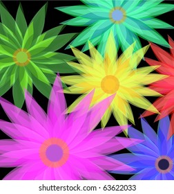 floral backgrounds color flowers