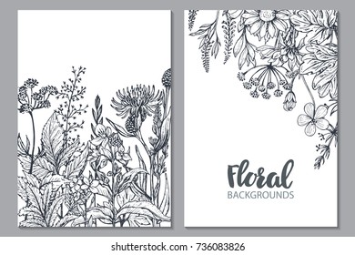 Floral backgrounds with hand drawn herbs and wildflowers. Monochrome vector illustration in sketch style