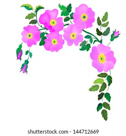 Floral Background.Vector Illustration