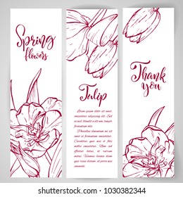 Floral baners. Hand drawn vector botanical illustration. Template greeting card, wedding invitation banner with spring flowers. Sketch linear tulip blossom. Engraved style illustration.