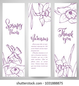 Floral baners. Hand drawn vector botanical illustration. Template greeting card, wedding invitation banner with spring flowers. Sketch linear narcissus blossom.Engraved style illustration.