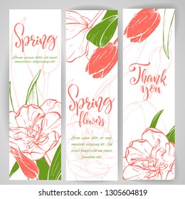 Floral baners. Hand drawn vector botanical illustration. Template greeting card, wedding invitation banner with spring flowers. Sketch linear tulip blossom. Engraved style illustration.