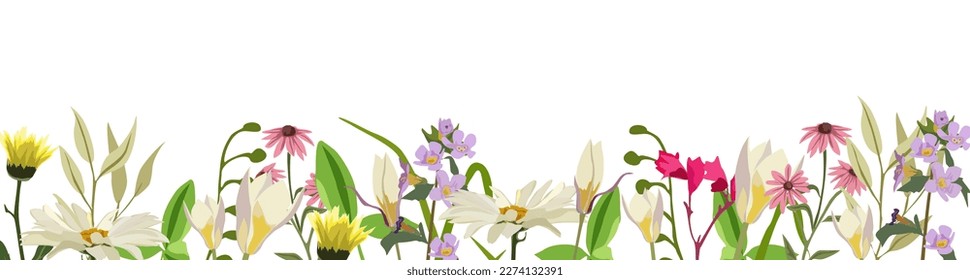 Banner floral, borde, fondo, sobre blanco.