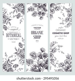 Floral banner collection. Organic shop. Vector illustration