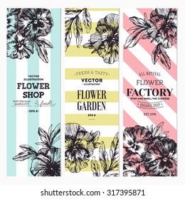 Floral banner collection. Pansy flower. Vector illustration