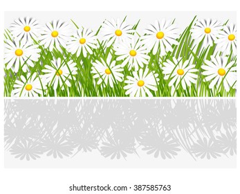 Floral banner with daisies.
