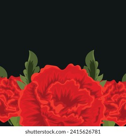  floral banner, a frame consisting of an opened bud of a red, curly carnation on a black background, for use in printing, vector