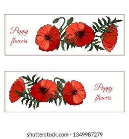 Floral banner with Poppy flowers, buds and leaves on white background. Botanical design of wedding invitation template, postcards, banners, posters, templates, seasonal sales.