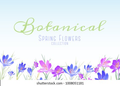 Floral banner with violet and blue crocus flowers. Vector spring design for cosmetics, perfume, wedding invitation and greeting card.