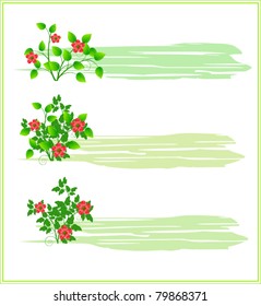 Floral banners