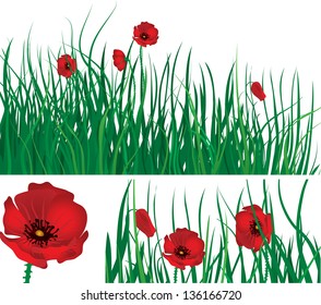 Floral banners. Three vector  backgrounds and elements with  green grass and blossoming red poppies.