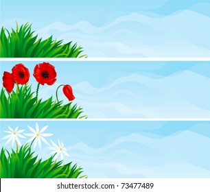 Floral banners. Three vector   backgrounds with  green grass and blossoming flowers - chamomile and poppies