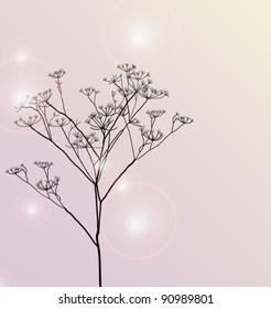 Floral beautiful card, background with light