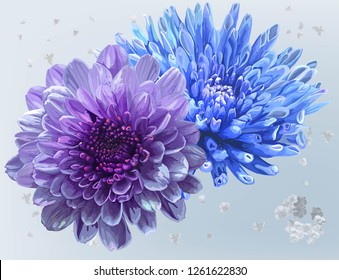 Floral beautiful vector,Chrysanthemum  blue and purple flower