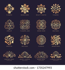 Floral beauty logo. Luxury stylized decorative shapes leaves flowers botanical themes for spa salon branding vector themes