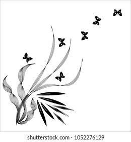 Floral black design on white background. Floral and butterfly flower natural design. Vector illustration.