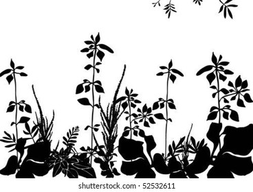 Floral black pattern with miscellaneous plants